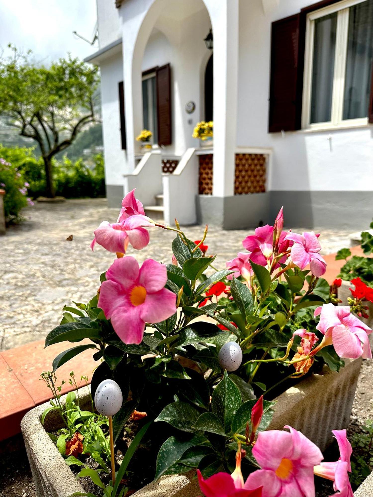 라벨로 Simona House 빌라 외부 사진